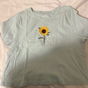 Hollister t-shirt